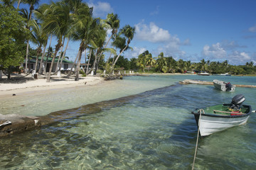 clifton union island st vincent and the grenadines caribbean 43