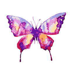 butterflies design