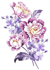 watercolor illustration flowers in simple background - 65466316