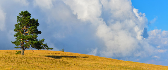 Предчувствие грозы © denis_333