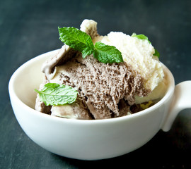 Cocoa and Vanilla Ice-cream with Mint
