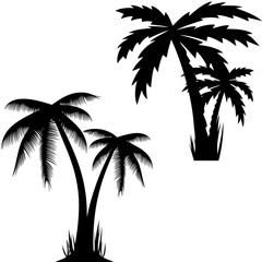 Vector illustration of palm trees .