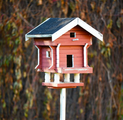 Old bird house