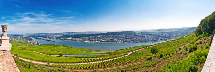 Blick über spätsommerliche Weinberge im Rheingau bei Rüdesheim