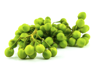 Pea Eggplants on white background