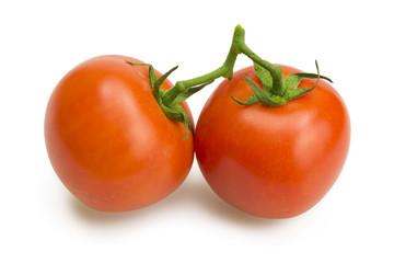 Two tomatoes on a branch