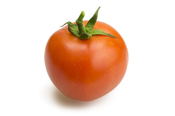 One tomato on white background