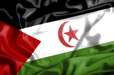 Western Sahara waving flag