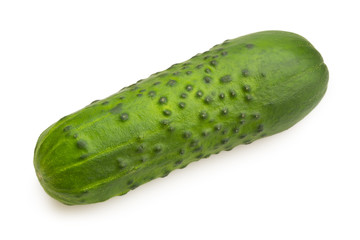Cucumber on white background