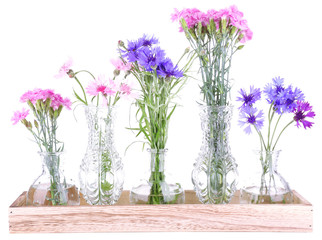 Beautiful summer flowers in vases, isolated on white