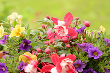 Garten 161 © K.-U. Häßler