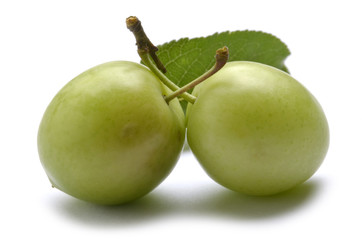 Prunus cerasifera Cherry plum Kirschpflaume Amolo