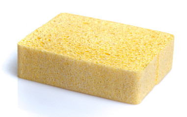 Sponge