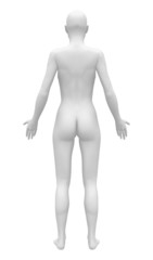 Blank Anatomy Female Figure - Back view