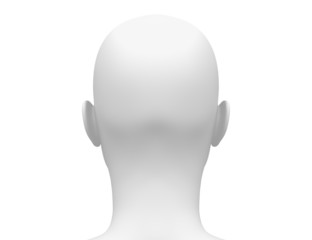 Female Head Muscles Anatomy - Back view