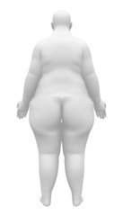 Obese Anatomy Female Figure - Back view