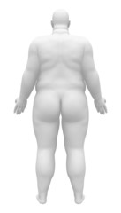 Obese Anatomy Male Figure - Back view