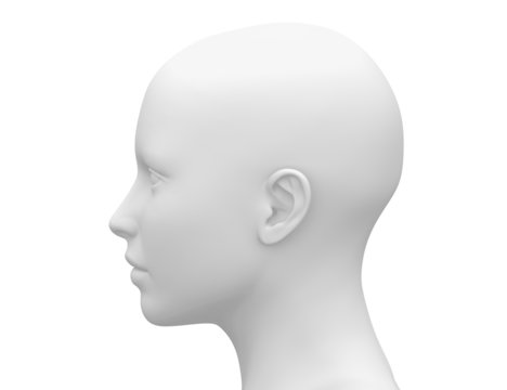 Blank White Female Head - Side view