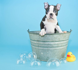 Bath Time