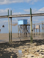 Fototapeta na wymiar Marsilly - Gładzica na wybrzeżu w czasie odpływu