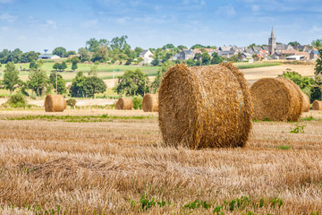 Straw Bales near the Sea in Normandy, France