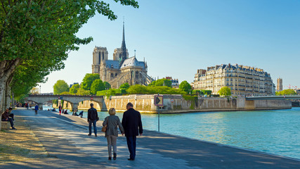 Notre Dame Paris - obrazy, fototapety, plakaty