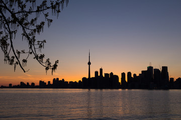 Fototapeta premium Toronto Sunset Silhouette with part of a tree on the left and co