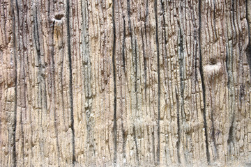 Texture of the old weathered wood.