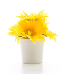 Bouquet flowers isolated on white