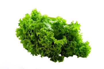 fresh green lettuce leaves isolated on white