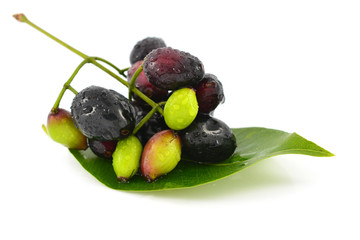 Java Plum fruit