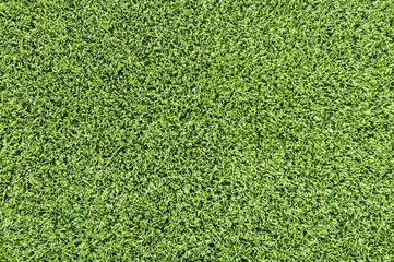 Obraz premium Green grass background texture.