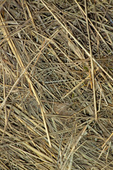 straw background