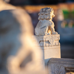 Stone lion sculptures in china