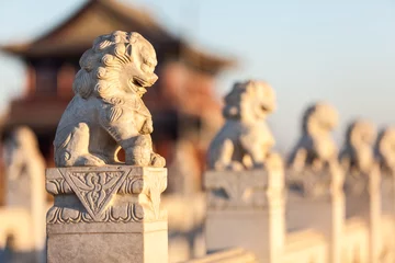 Foto op Aluminium Stone lion sculptures in china © 06photo