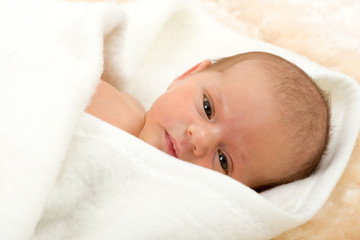 looking newborn baby