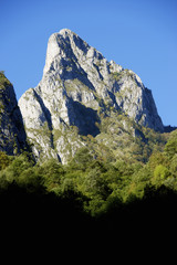 Pyrenees