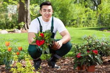 Asian gardener planting flowers