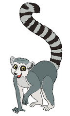 Cartoon animal - lemur - flat coloring style © agaes8080