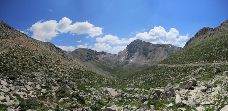 vadi