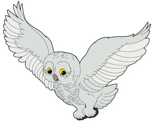 Cartoon animal - arctic owl - flat coloring style
