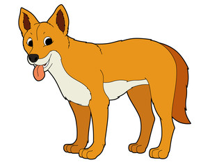 Cartoon animal - dingo - illustration for the children