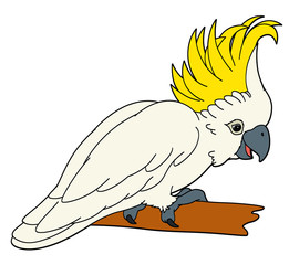 Cartoon animal - parrot - illustration for the children
