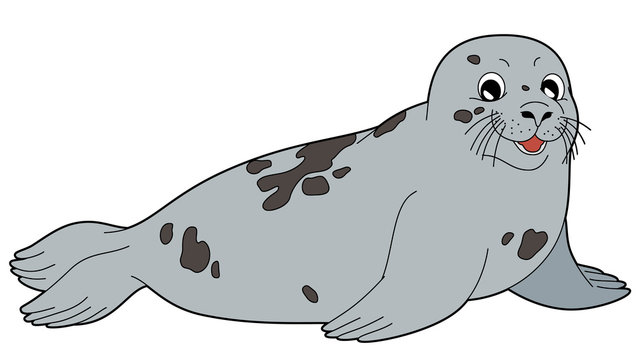 Cartoon animal - seal - flat coloring style