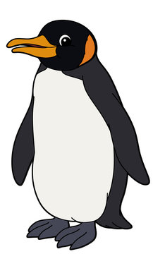 Cartoon animal - penguin - flat coloring style