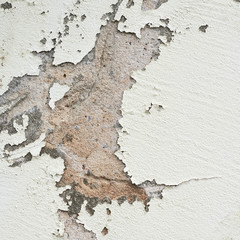 Old wall with the falling off whitewash © exopixel