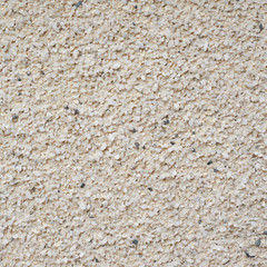 Grainy wall surface fragment