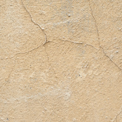 Cracked painted wall fragment