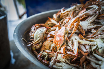 Lots of steamed blue crabs