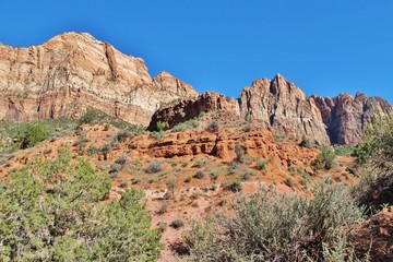 Fototapeta premium Zion National Park, Utah